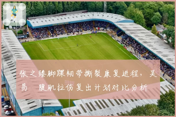 张之臻脚踝韧带撕裂康复进程，吴易昺腹肌拉伤复出计划对比分析