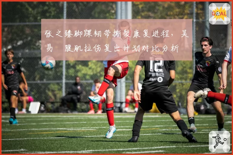 张之臻脚踝韧带撕裂康复进程，吴易昺腹肌拉伤复出计划对比分析