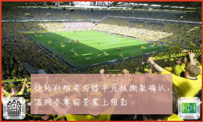 德约科维奇右膝半月板撕裂确认，温网参赛前景蒙上阴影